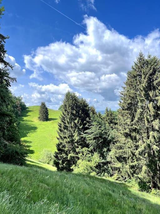 Ferienwohnung Am Hang Mit Malerischer Aussicht Osterode am Harz Εξωτερικό φωτογραφία