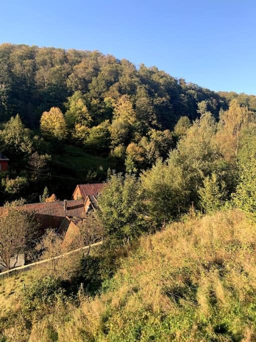 Ferienwohnung Am Hang Mit Malerischer Aussicht Osterode am Harz Εξωτερικό φωτογραφία